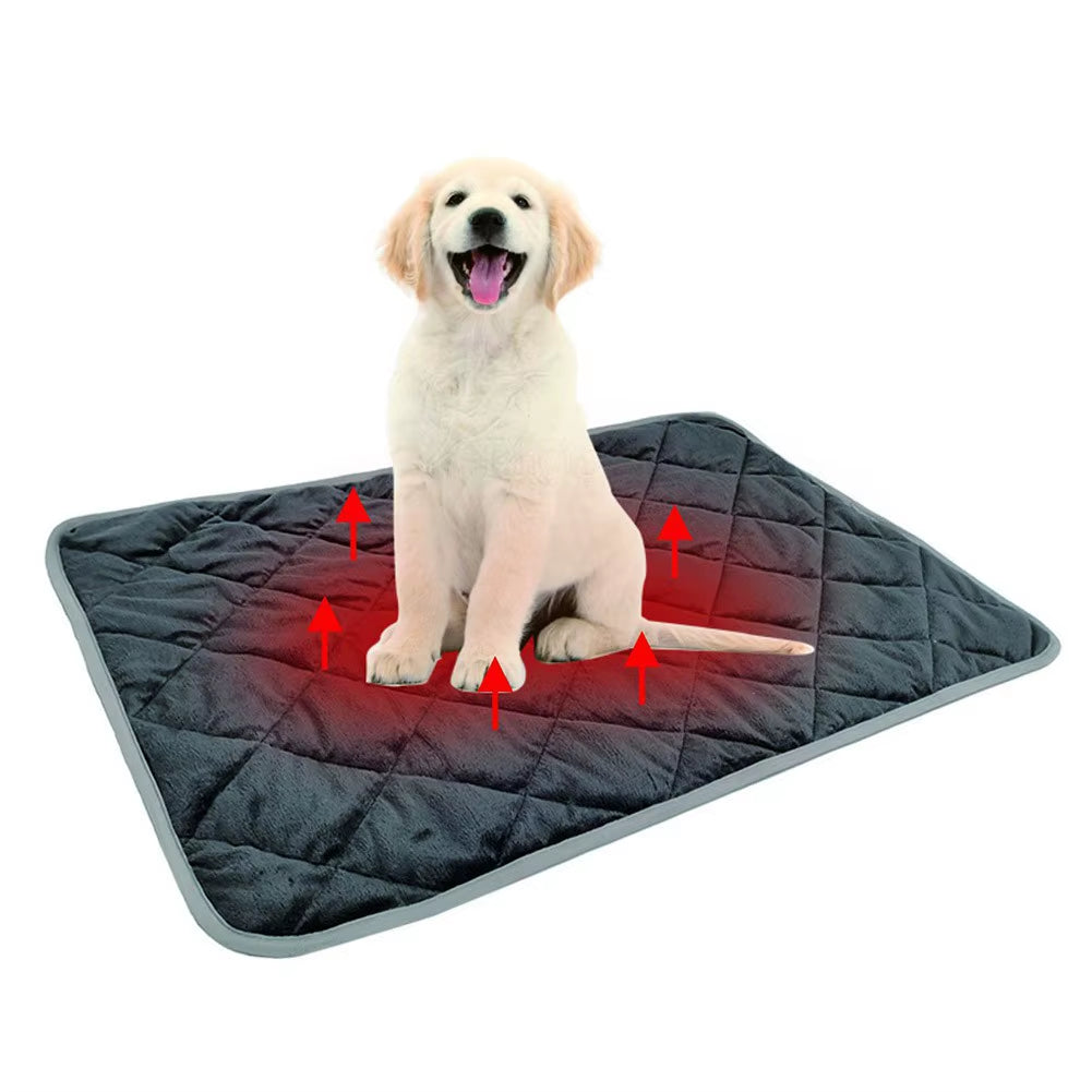 Washable Pet Mat – Winter Warming Self-Heating Pad for Cats and Dogs, Anti-Slip Car Seat Cover and Bedding (2025)